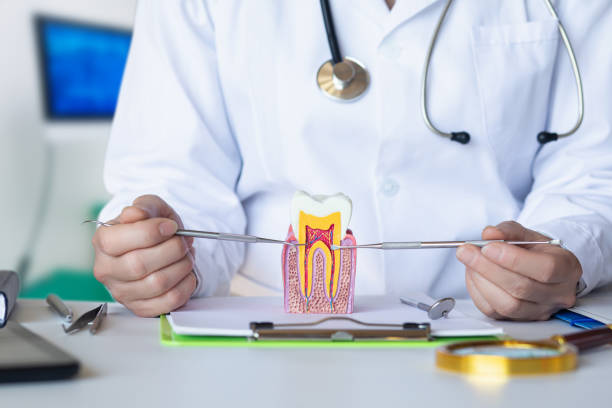 Best Emergency Treatment for Toothache in Bluff City, TN
